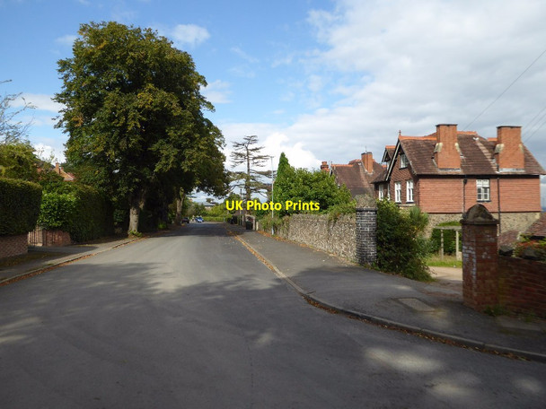 Photo 6"x4" College Grove, Malvern Great Malvern c2017