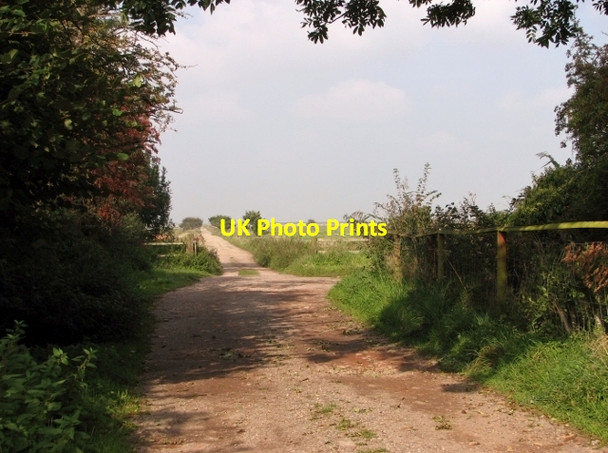 Photo 6"x4" Track into the marshes at Lower Thurlton Lower Thurlton c2017