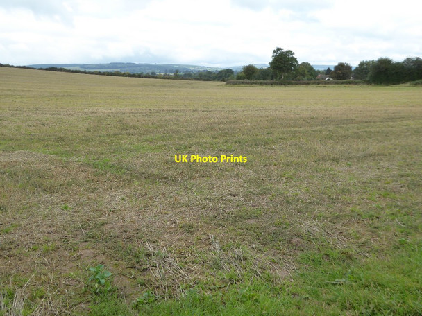 Photo 6"x4" Stubble field at Luston Luston c2017