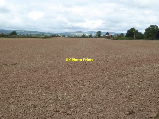 Photo 6"x4" Arable field Luston c2017