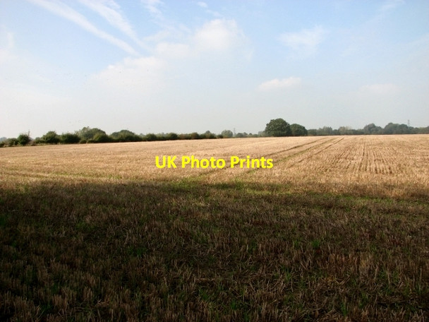 Photo 6"x4" Stubble field east of Thurlton village Lower Thurlton c2017