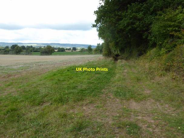 Photo 6"x4" Bridleway at Moreton Ride Eye\/SO4963 c2017