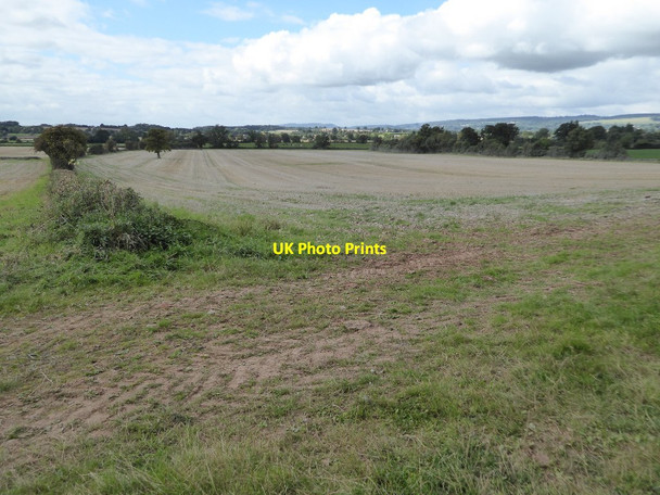 Photo 6"x4" Farmland adjacent to Berrington Park Eye\/SO4963 c2017