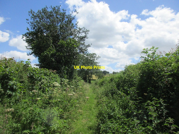 Photo 6"x4" Bridleway to Abenhall Plump Hill c2017