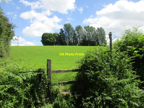 Photo 6"x4" Hillside and stile Plump Hill c2017