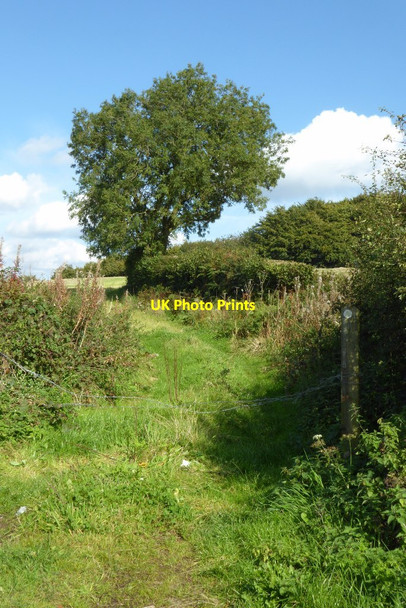 Photo 6"x4" Footpath to Frankley Beeches Frankley\/SO9978 c2017