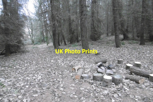 Photo 6"x4" Fire ring, Wester Wood Gifford c2016