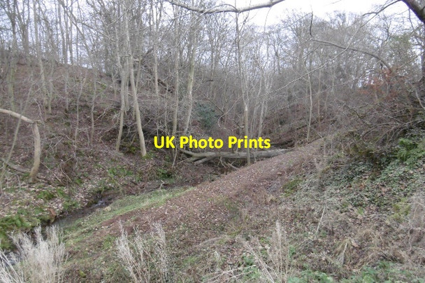 Photo 6"x4" Dean Wood Gifford c2016