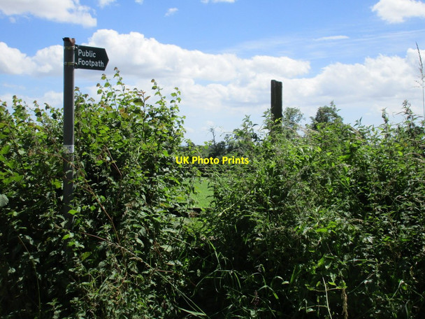 Photo 6"x4" The beginning of a footpath near Blaisdon Blaisdon c2017