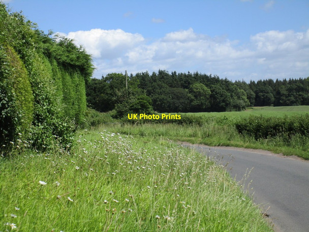 Photo 6"x4" Bend in Blaisdon Lane Blaisdon c2017