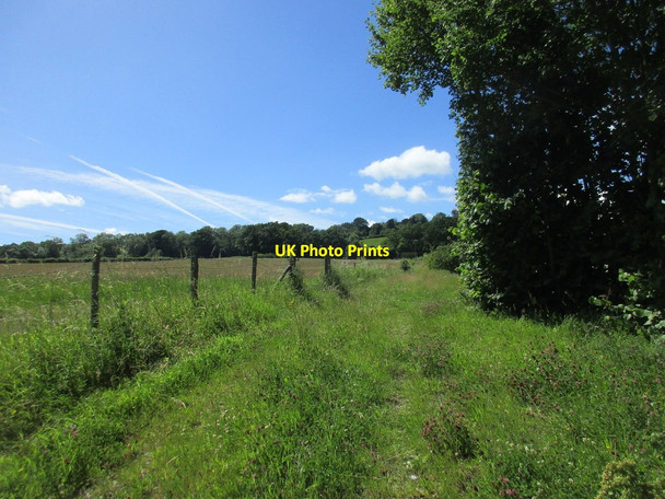 Photo 6"x4" Footpath to Nottwood Hill Blaisdon c2017