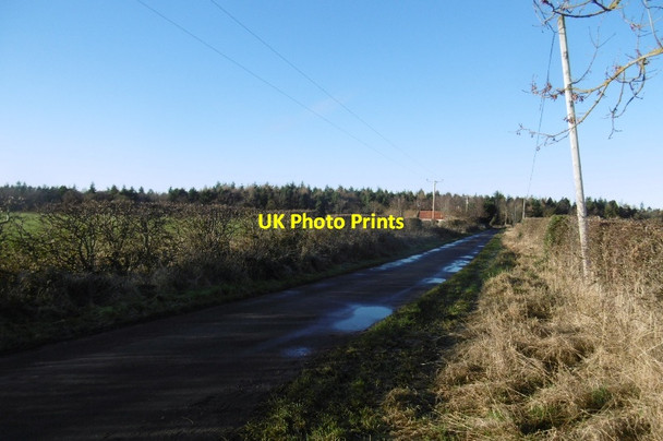 Photo 6"x4" By Hopefield Gladsmuir\/NT4573 c2017