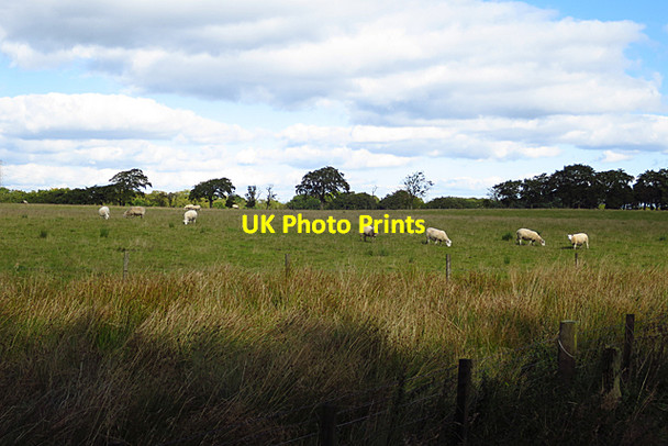 Photo 6"x4" Near Kiprig Harburn\/NT0461 c2017