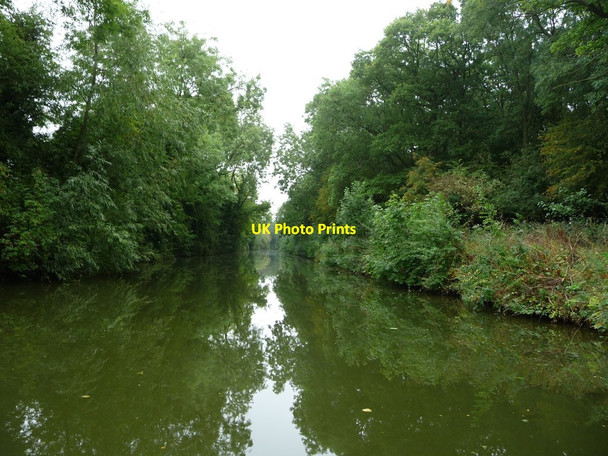 Photo 6"x4" Market Harborough Arm, between bridges 12 and 11 Market Harborough c2017