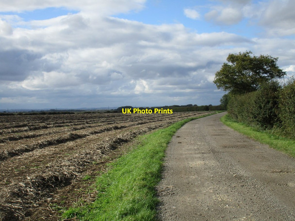 Photo 6"x4" Roadway to Low Baswick Farm Burshill c2017