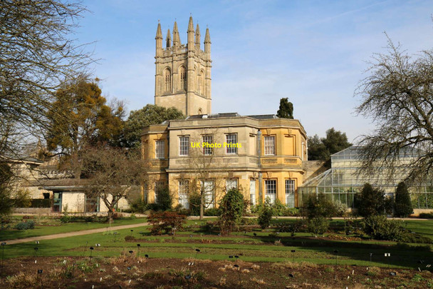 Photo 6"x4" The Botanical Garden in Oxford Oxford\/SP5106 c2016 P1