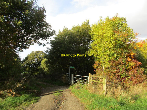 Photo 6"x4" Trans Pennine Trail turns right Berry Moor c2017