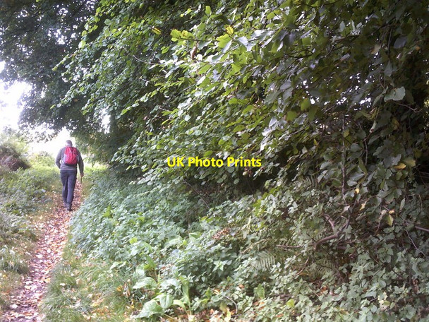 Photo 6"x4" A449 Path Wombourne c2017