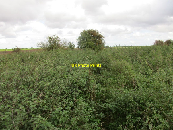 Photo 6"x4" Overgrown path Burshill c2017