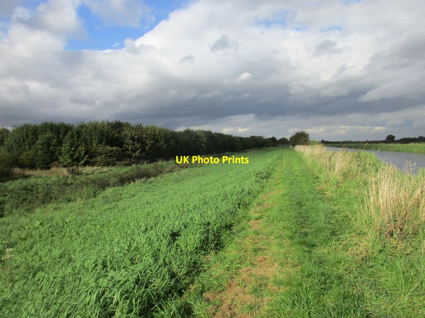 Photo 6"x4" Bridleway alongside the River Hull Rotsea c2017