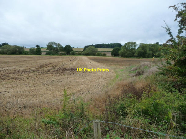 Photo 6"x4" Trees along the River Sence The Woodlands\/SP6596 c2017