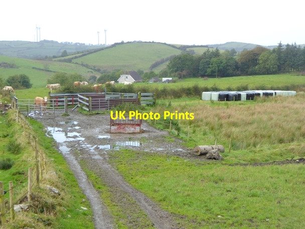 Photo 6"x4" Farmland at Cornasaus Bailieborough c2017