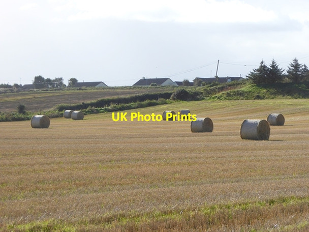 Photo 6"x4" Field with bales Clogherhead c2017