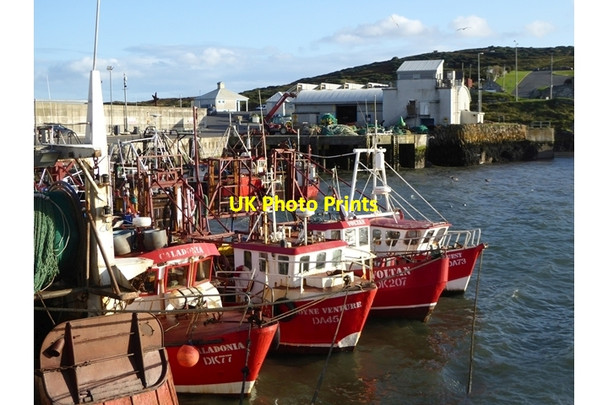 Photo 6"x4" Fishing fleet at Port Oriel Clogherhead c2017