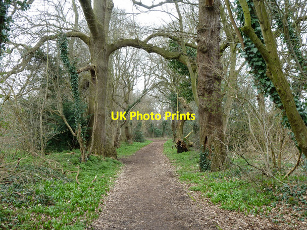 Photo 6"x4" Ashley Lane Hendon\/TQ2389 c2013