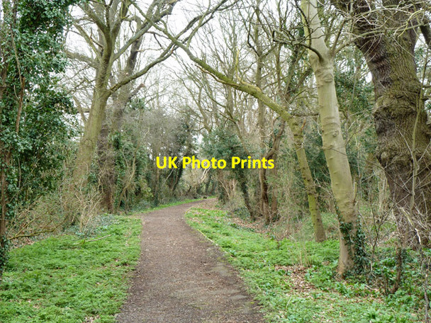 Photo 6"x4" Ashley Lane Hendon\/TQ2389 c2013 P1