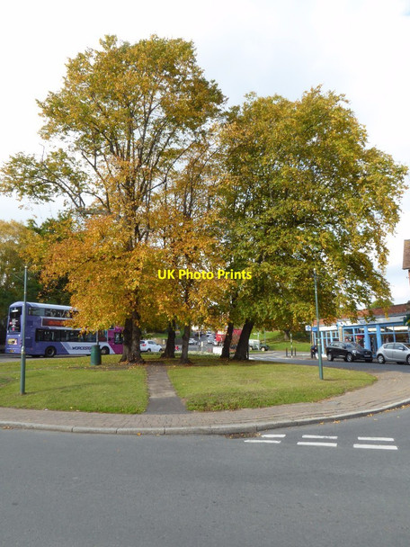 Photo 6"x4" Trees at Barnard's Green Great Malvern c2017