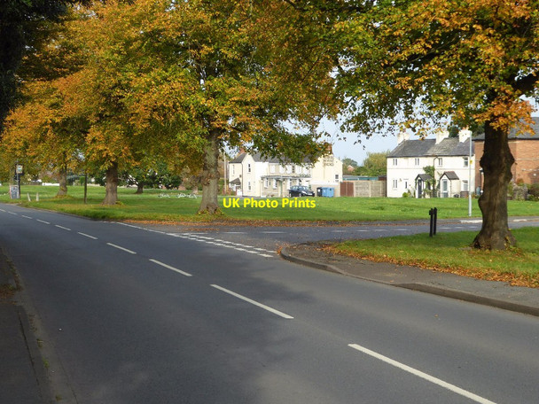 Photo 6"x4" Autumn trees on Poolbrook Road Great Malvern c2017
