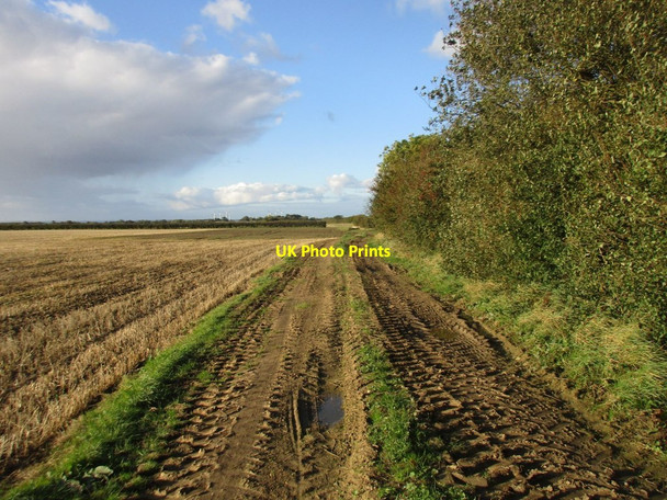 Photo 6"x4" Farm track off Dunnington Lane Dunnington\/TA1552 c2017