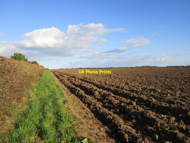 Photo 6"x4" Ploughed field off Dunnington Lane Dunnington\/TA1552 c2017