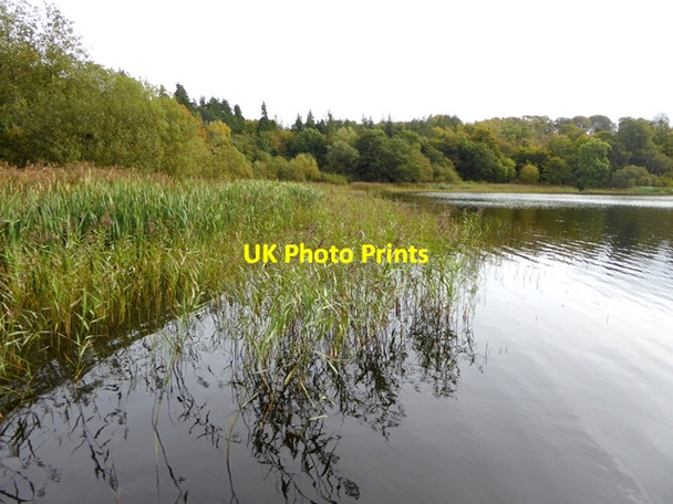 Photo 6"x4" Northern end of Castle Lough Drumeague c2017