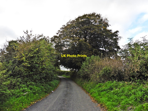 Photo 6"x4" Minor road to Purtington Woolminstone c2017