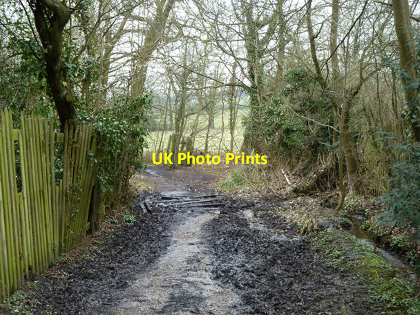 Photo 6"x4" Footpath from Totteridge to Mill Hill Barnet c2013