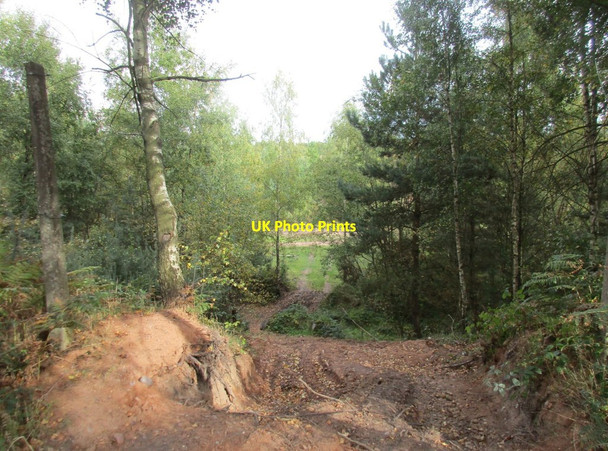 Photo 6"x4" Scrambling track Rainworth c2017