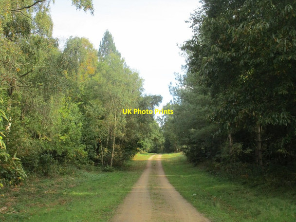 Photo 6"x4" Bridleway to Bilsthorpe Rainworth c2017