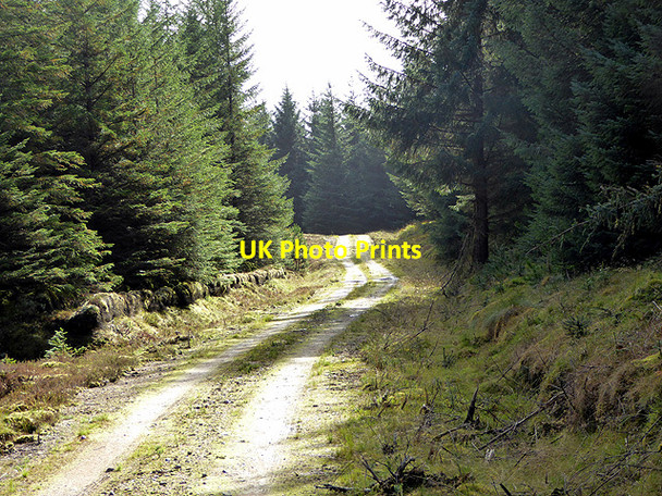 Photo 6"x4" Forestry road in Loch Dhu Forest Cnoc a' Gharbh-loch c2017