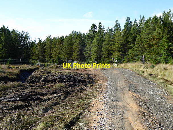 Photo 6"x4" Looking towards the forestry near Loch Gaineimh Lochan Dubh nan Geodh c2017