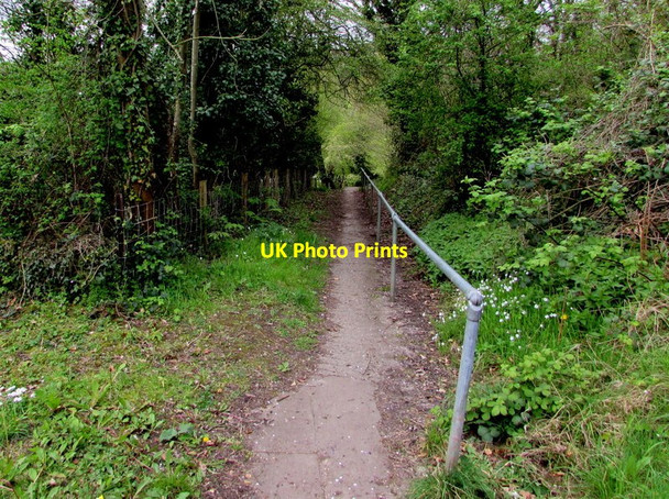 Photo 6"x4" Path descending from Springfield Road, Lydney Lydney c2017