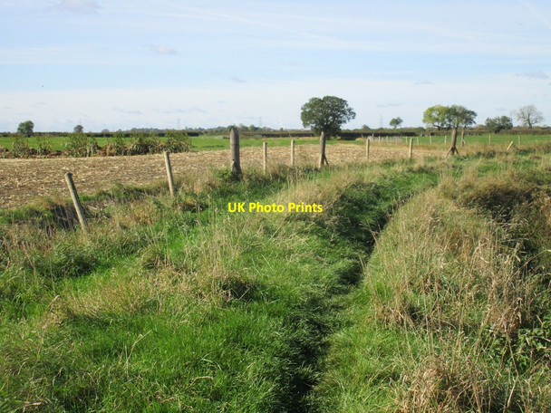 Photo 6"x4" Between river and dyke Barnby in the Willows c2017
