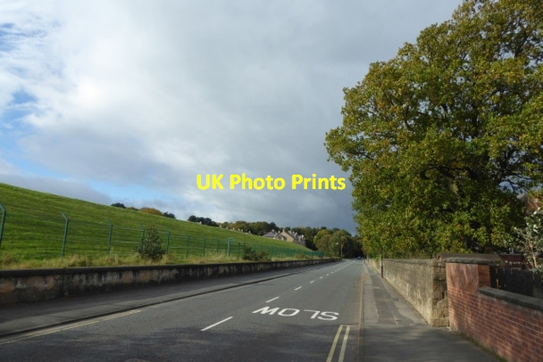 Photo 6"x4" Harlow Moor Road Harrogate c2017