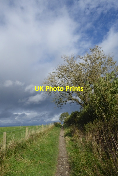 Photo 6"x4" Footpath leading to Cornwall Road Harlow Carr c2017