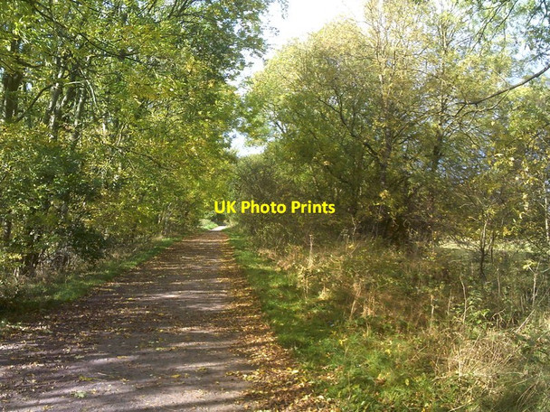 Photo 6"x4" October Railway Path Orton\/SO8695 c2017