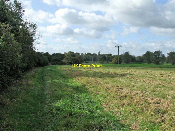 Photo 6"x4" Looking South West Didlington\/TL7797 c2017