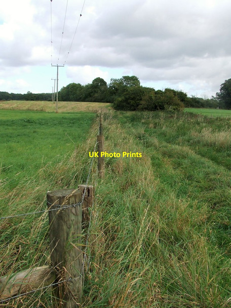 Photo 6"x4" Barbed Wire Fence Didlington\/TL7797 c2017