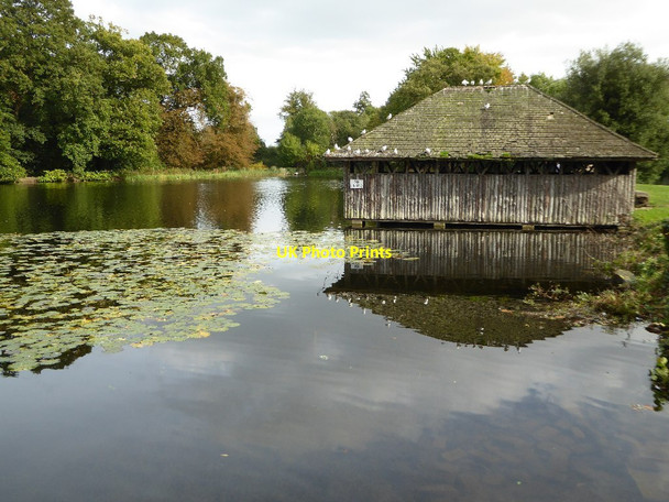Photo 6"x4" The boathouse and lake Duffryn\/ST2985 c2017