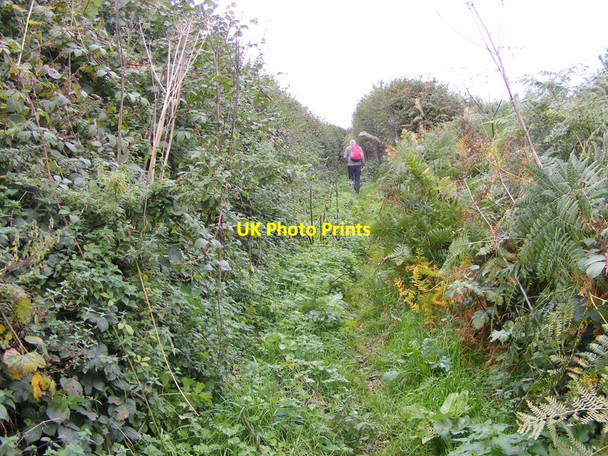 Photo 6"x4" Uphill Path Lower Penn c2017